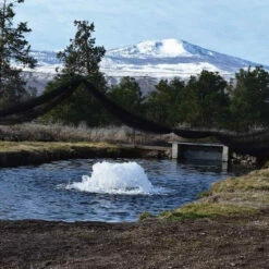 Kasco 2 HP 8400AF Surface Aerator 230V 15 Kasco 2 HP 8400AF Surface Aerator 230V -pond shop kasco surface aerator near mountains min 42696.1652114677