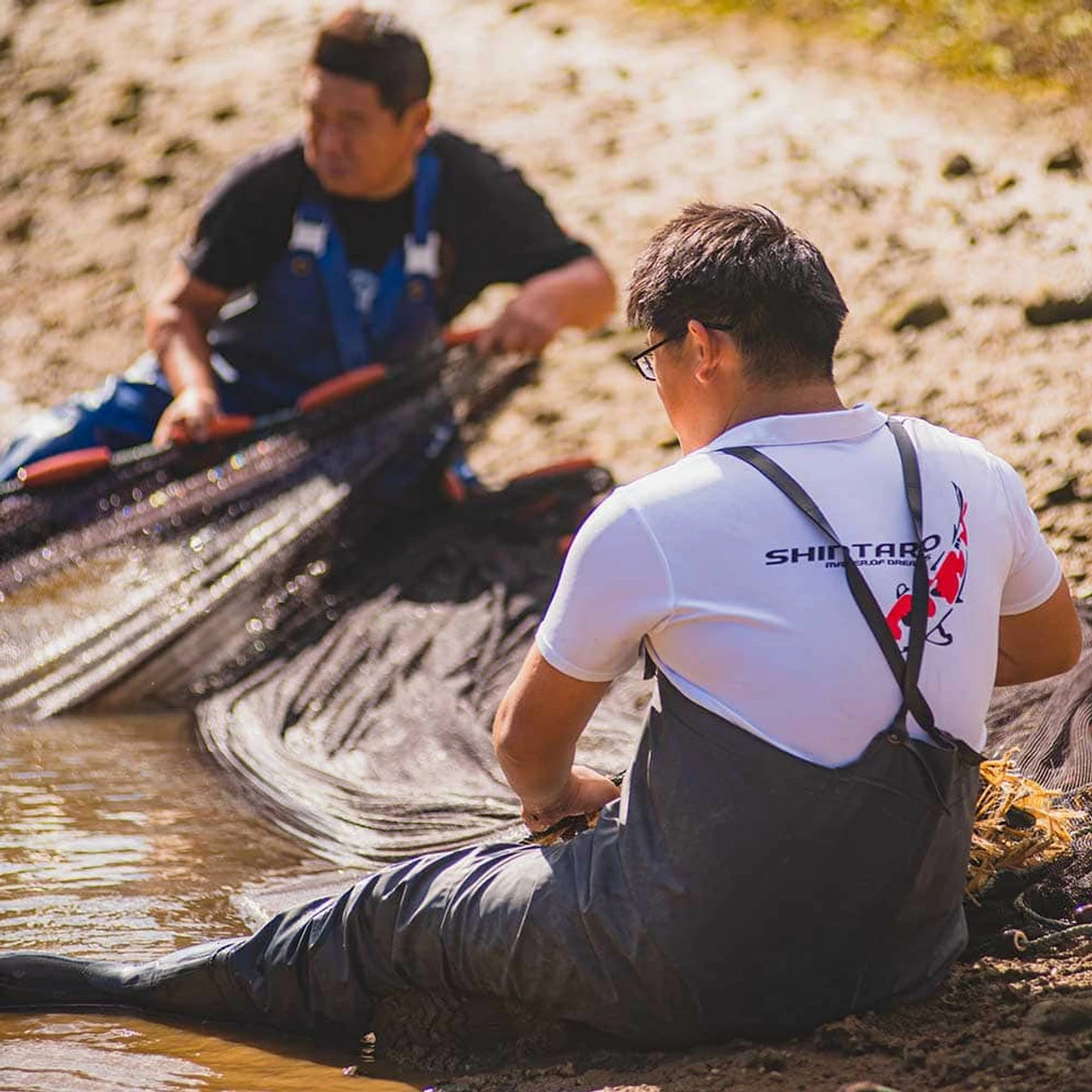 6-8" Japanese Butterfly Koi Packages 7 6-8" Japanese Butterfly Koi Packages - Image 5