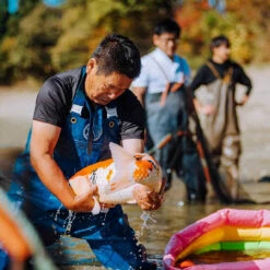 8-10" Japanese Standard Fin Koi Packages 14 8-10" Japanese Standard Fin Koi Packages -pond shop koi scale inspection 1000 72841.1680703679