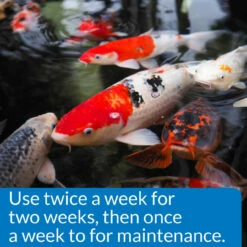 API PondCare Microbial Algae Clean -pond shop microbial algae clean dosing 1000 75263.1666618175