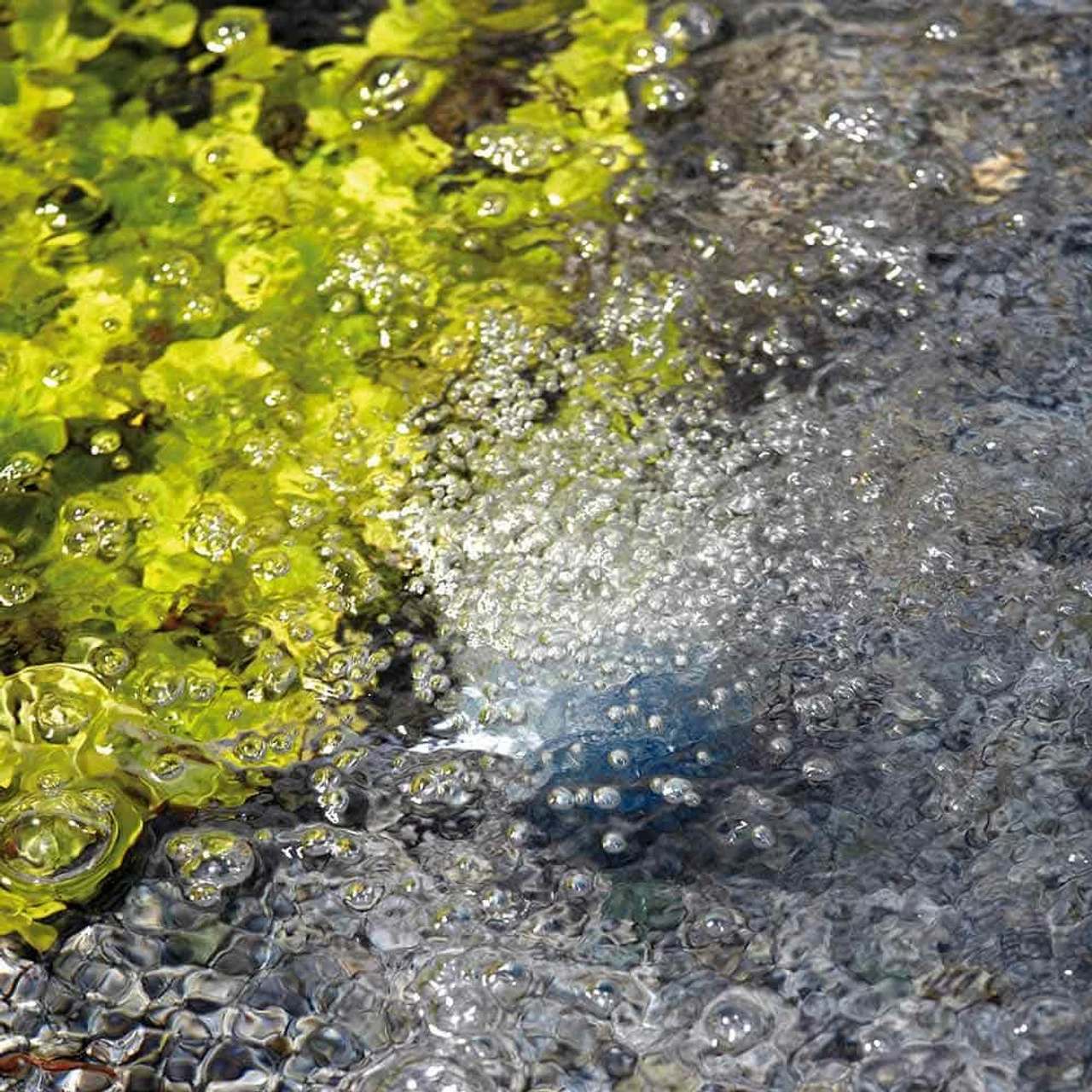 Oase AquaOxy 450 6 Oase AquaOxy 450 - Image 4