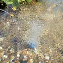 Oase AquaOxy 450 12 Oase AquaOxy 450 -pond shop oase aquaoxy 450 water 1000 66309.1663162383