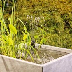 Oase Filtral UVC Filter W/ Pump -pond shop oase filtral UVC filter magma daytime 1000 68561.1666987245