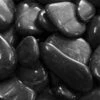 Blue Thumb Polished Pebbles -pond shop polished black pebbles 1000 28917.1642089307