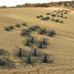 Pond King Honey Hole Trees 22 Pond King Honey Hole Trees -pond shop pond king bulk honey hole tree shrubs 60903.1676047620