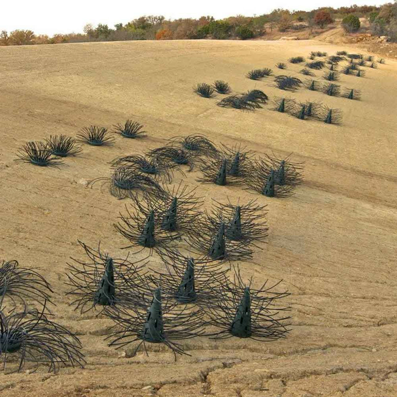 Pond King Honey Hole Trees 9 Pond King Honey Hole Trees - Image 7