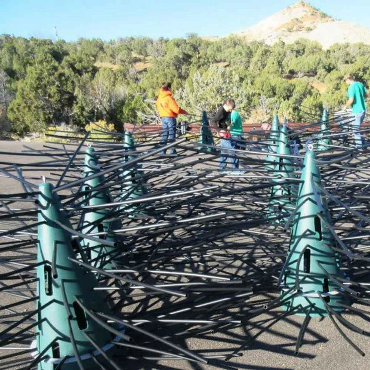 Pond King Honey Hole Trees 15 Pond King Honey Hole Trees - Image 13