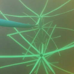 Pond King Honey Hole Reed -pond shop pond king honey hole reed feature 1000 60065.1656510740