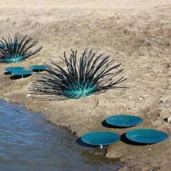 Pond King Honey Hole Spawning Discs -pond shop pond king honey hole spawning disc and shrubs 1000 61396.1676054754