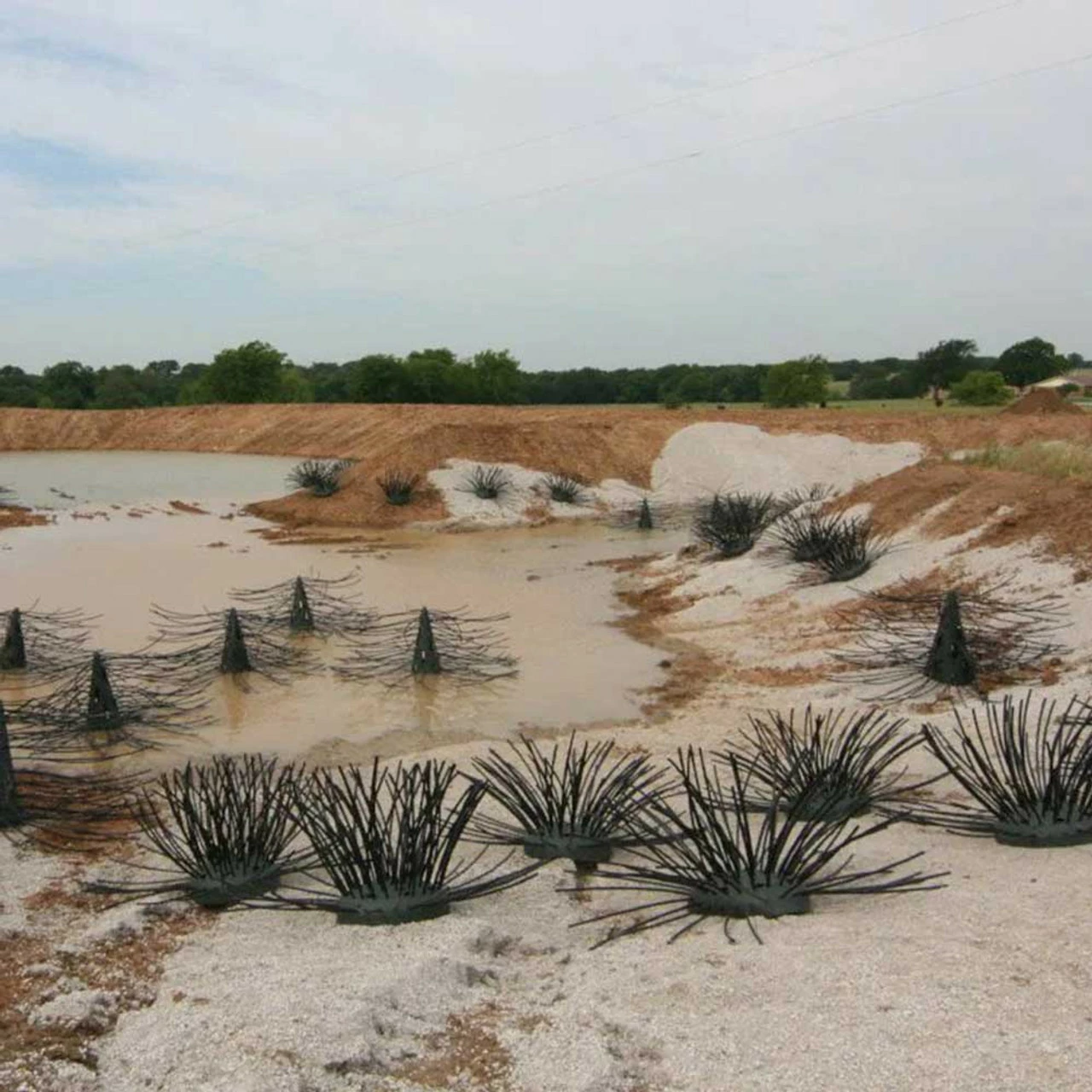 Pond King Honey Hole Shrubs 7 Pond King Honey Hole Shrubs - Image 5