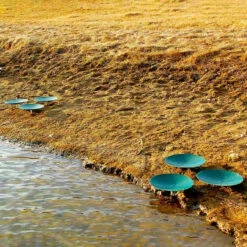 Pond King Honey Hole Spawning Discs -pond shop pond king spawning disc shoreline 1000 69804.1676054754