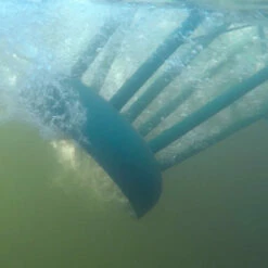 Pond King The Honey Hole, 2-Pack 15 Pond King The Honey Hole, 2-Pack -pond shop pond king the honey hole installation 1000 72948.1675887625