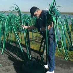 Pond King The Honey Hole, 2-Pack 17 Pond King The Honey Hole, 2-Pack -pond shop pond king the honey hole limb installation 1000 90165.1675887624