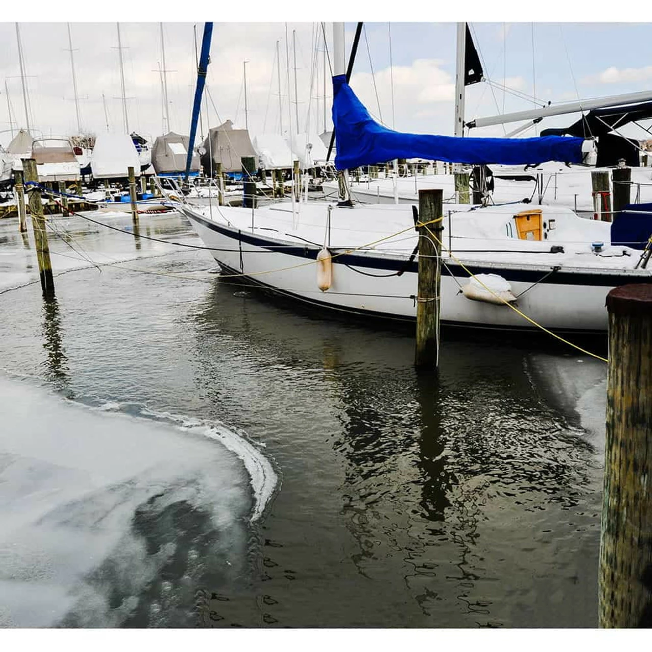 Power House Ice Eater 8 Power House Ice Eater - Image 6