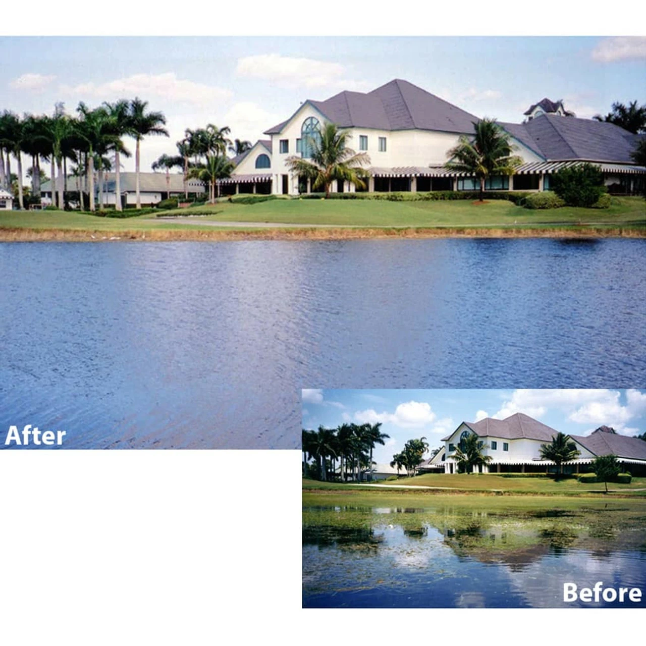 SePRO Sonar A.S. Aquatic Herbicide 4 SePRO Sonar A.S. Aquatic Herbicide - Image 2