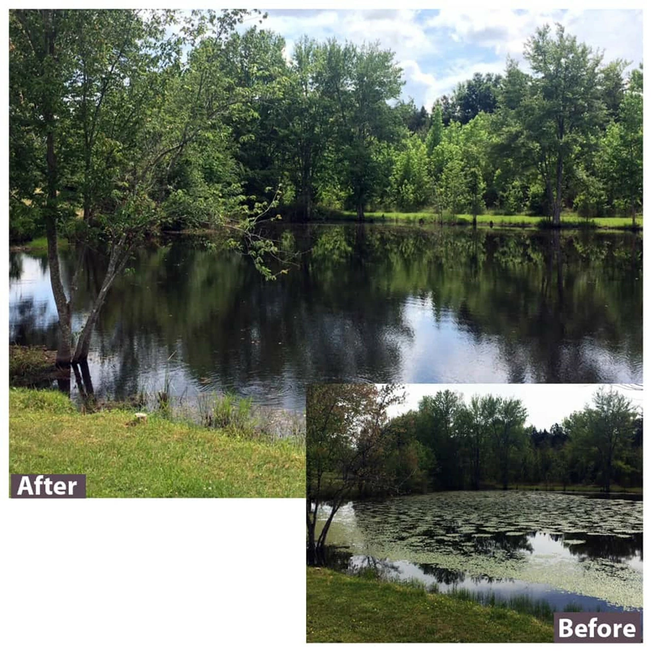 SePRO Sonar Q Granular Aquatic Herbicide - 8 Pounds 4 SePRO Sonar Q Granular Aquatic Herbicide - 8 Pounds - Image 2