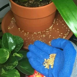 Summit Mosquito Bits & Dunks -pond shop summit mosquito bits container pots 06070.1689169886