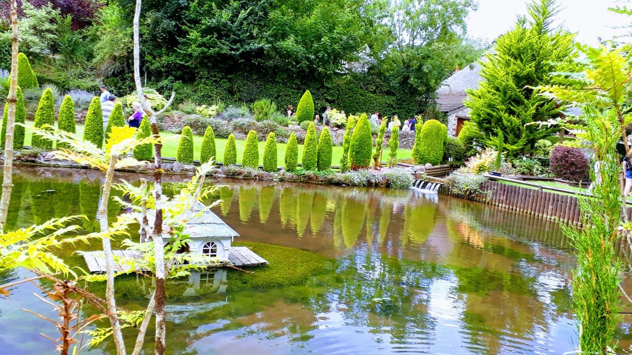 pond shop -pond shop the ornamental pond and