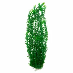 The Pond Guy Artificial Ludwigia -pond shop the pond guy artificial ludwigia 39 inch green 1000 80291.1667244408